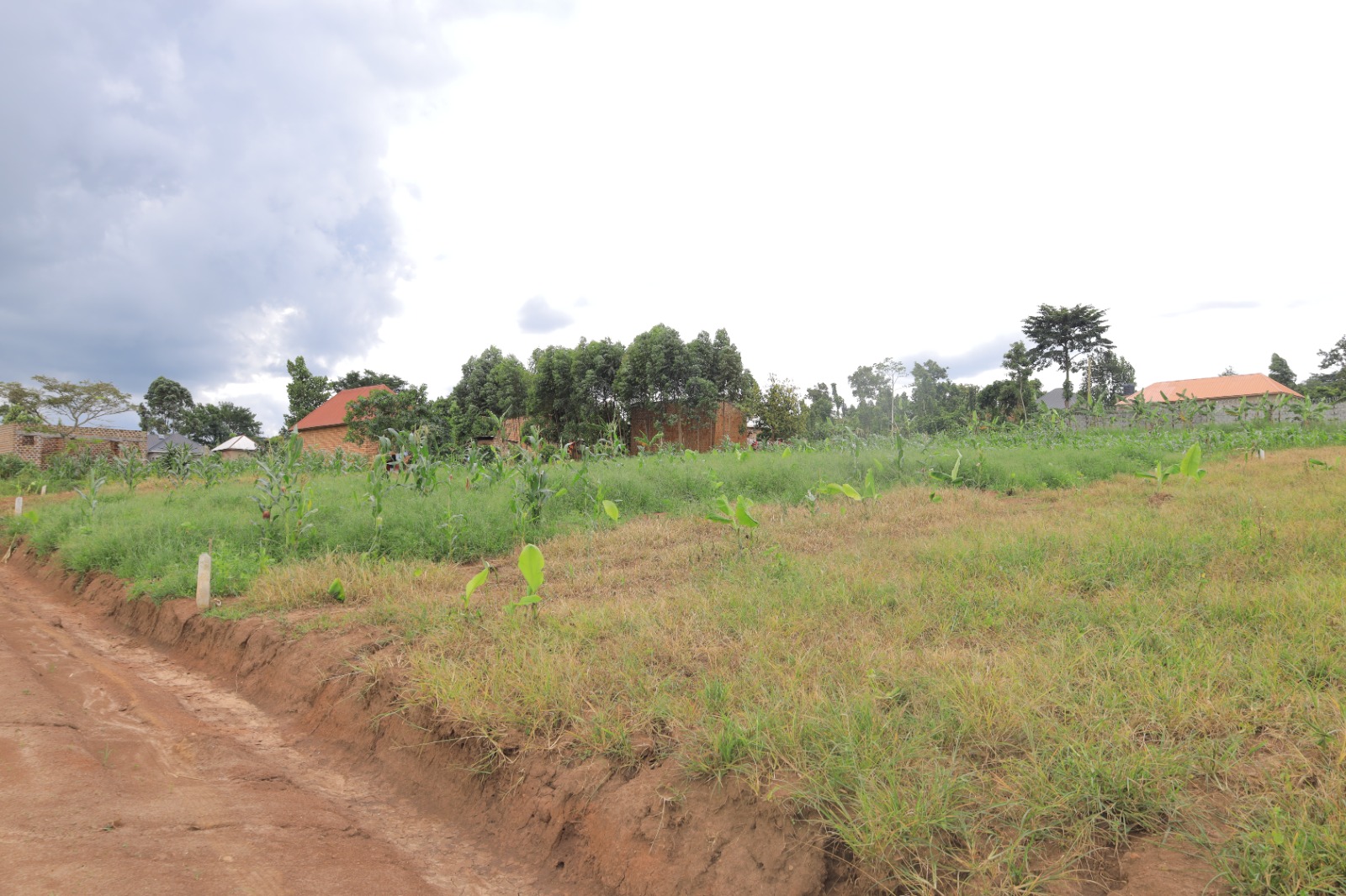 100×50 ft plot — Nampunge Katiti (Titled)